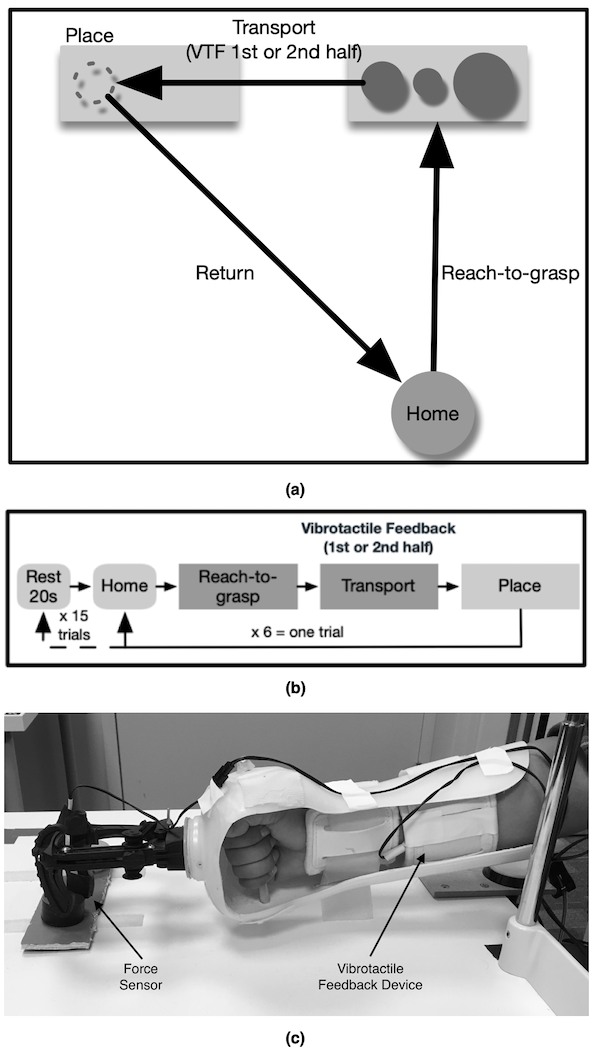 prosthesis simulator and task diagram